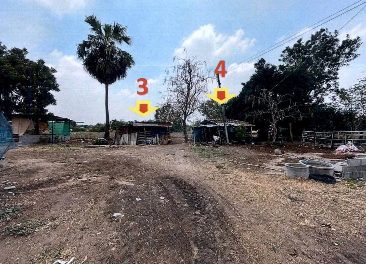 ขายทอดตลาด ที่ดินพร้อมสิ่งปลูกสร้าง ต.สระกระโจม อ.ดอนเจดีย์ จ.สุพรรณบุรี