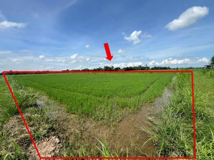 ขายทอดตลาด ที่ดินว่างเปล่า ต.ดงเดือย อ.กงไกรลาศ จ.สุโขทัย