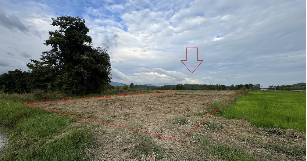 ขายทอดตลาด ที่ดินว่างเปล่า จ.สุโขทัย