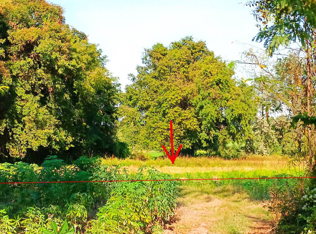 ขายทอดตลาด ที่ดินว่างเปล่า ต.หนองกระดิ่ง อ.คีรีมาศ จ.สุโขทัย