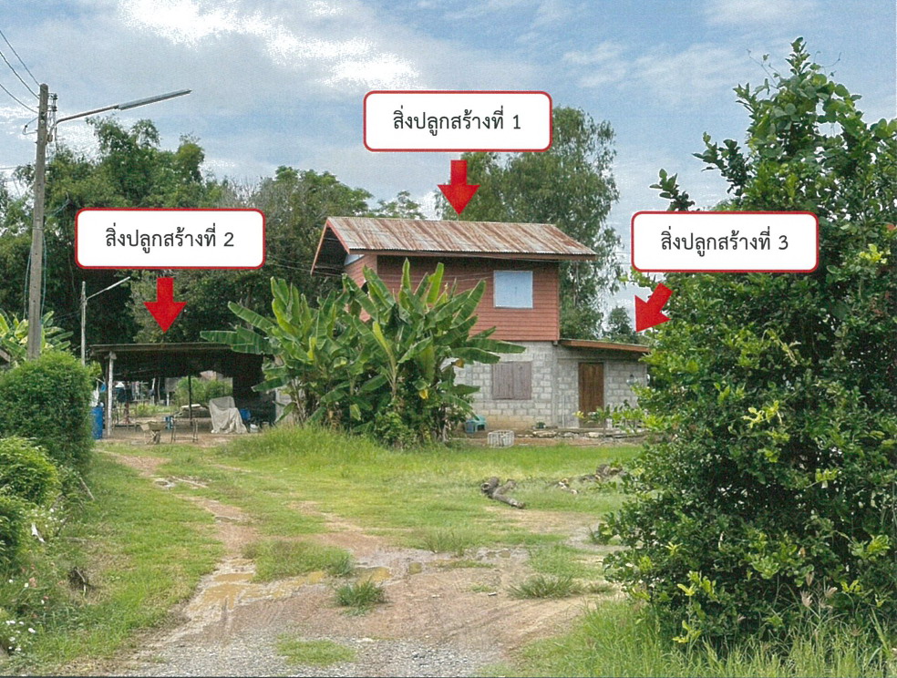 ขายทอดตลาด ที่ดินพร้อมสิ่งปลูกสร้าง ต.ดงเดือย อ.กงไกรลาศ จ.สุโขทัย