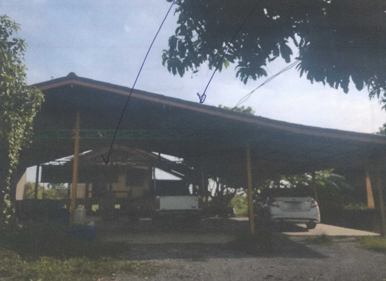 ขายทอดตลาด ที่ดินพร้อมสิ่งปลูกสร้าง ต.วังลึก อ.สามชุก จ.สุพรรณบุรี