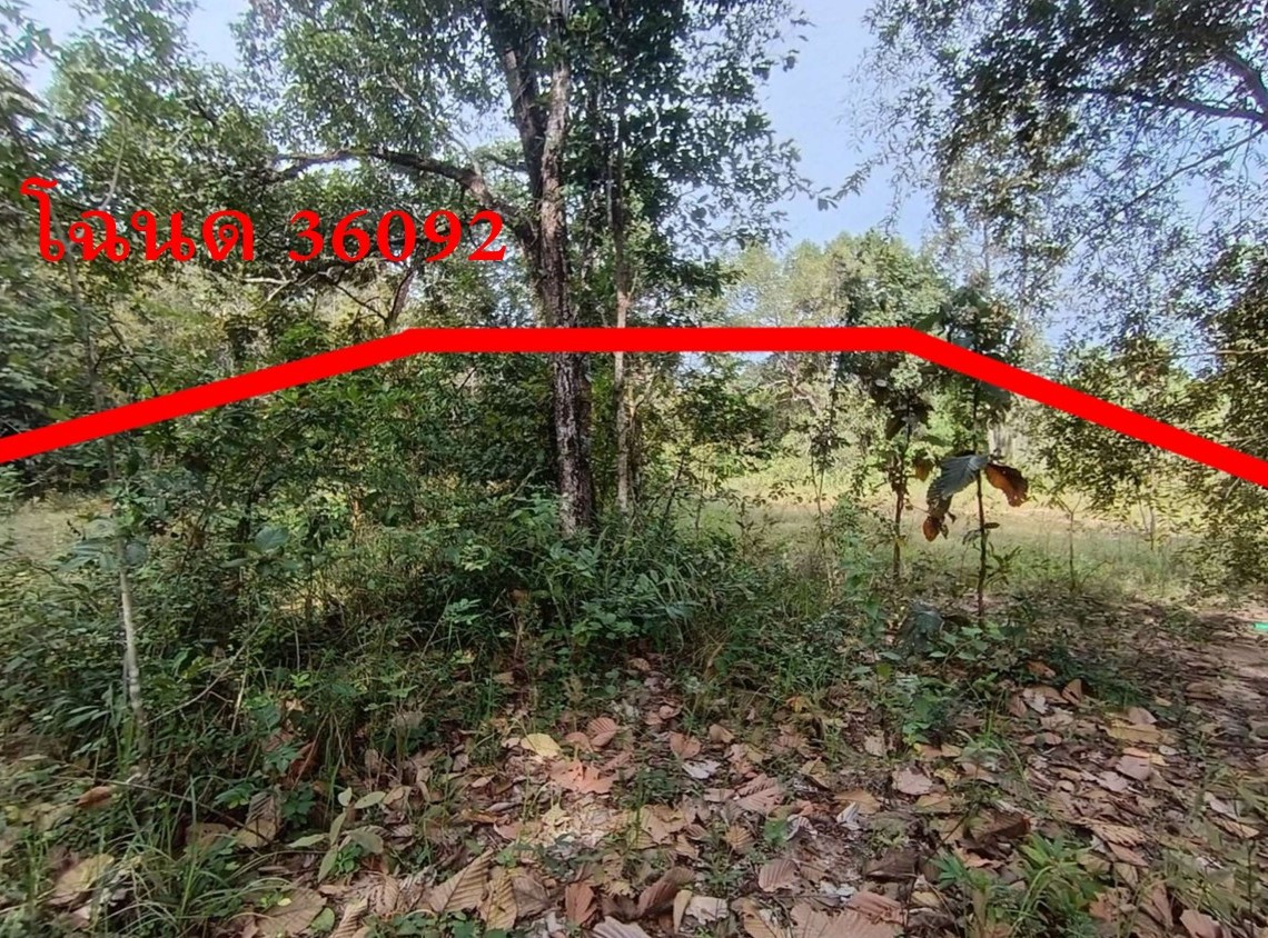 ขายทอดตลาด ที่ดินว่างเปล่า ต.แก้งเหนือ อ.เขมราฐ จ.อุบลราชธานี