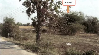 รูปทรัพย์ 2
