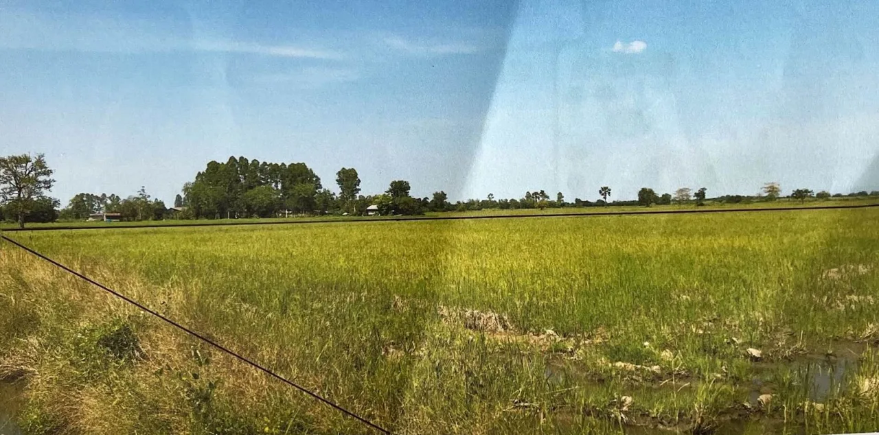 ขายทอดตลาด ที่ดินว่างเปล่า ต.สามเรือน อ.ศรีสำโรง จ.สุโขทัย