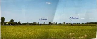 รูปทรัพย์ 2