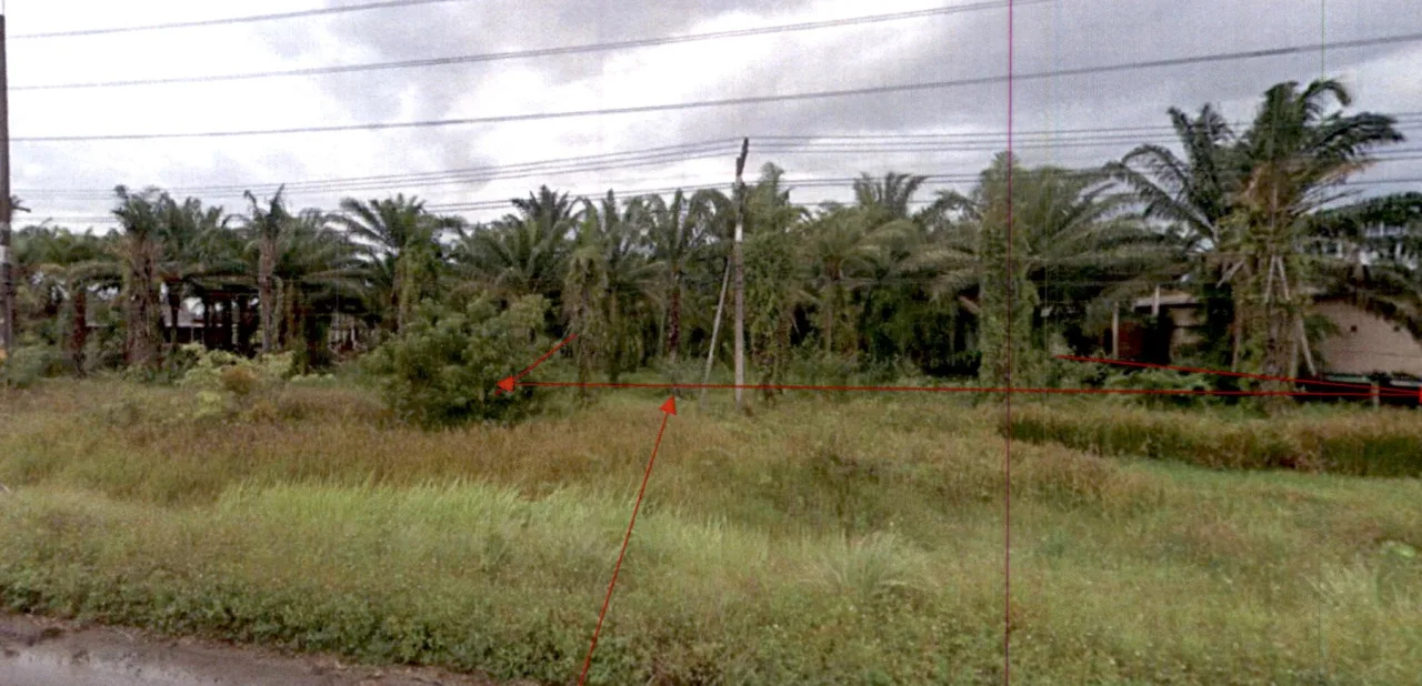 ขายทอดตลาด ที่ดินว่างเปล่า ต.ท่าเรือ อ.บ้านนาเดิม จ.สุราษฎร์ธานี