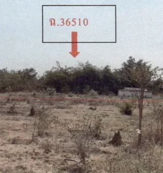 รูปทรัพย์ 2