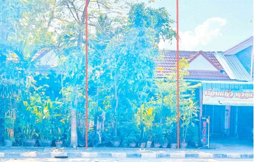 ขายทอดตลาด ที่ดินพร้อมสิ่งปลูกสร้าง ต.ปากแคว อ.เมืองสุโขทัย จ.สุโขทัย