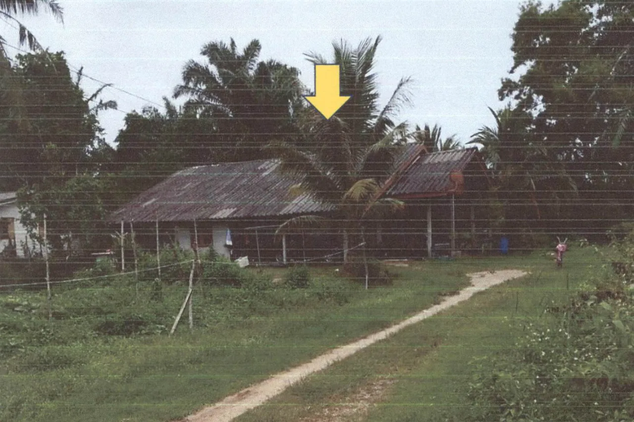 ขายทอดตลาด ที่ดินพร้อมสิ่งปลูกสร้าง ต.ตลิ่งชัน อ.เหนือคลอง จ.กระบี่