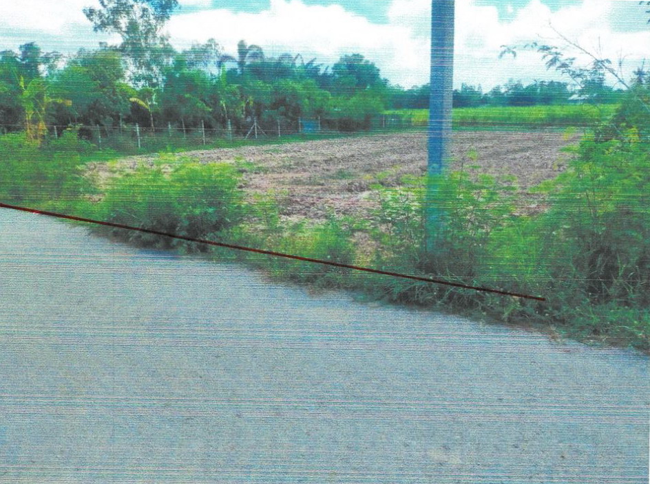 ขายทอดตลาด ที่ดินพร้อมสิ่งปลูกสร้าง ต.หนองสาหร่าย อ.ดอนเจดีย์ จ.สุพรรณบุรี