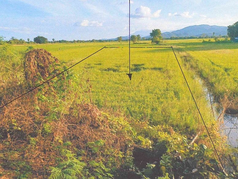 ขายทอดตลาด ที่ดินว่างเปล่า ต.เมืองเก่า อ.เมืองสุโขทัย จ.สุโขทัย