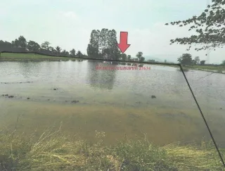 รูปทรัพย์ 2