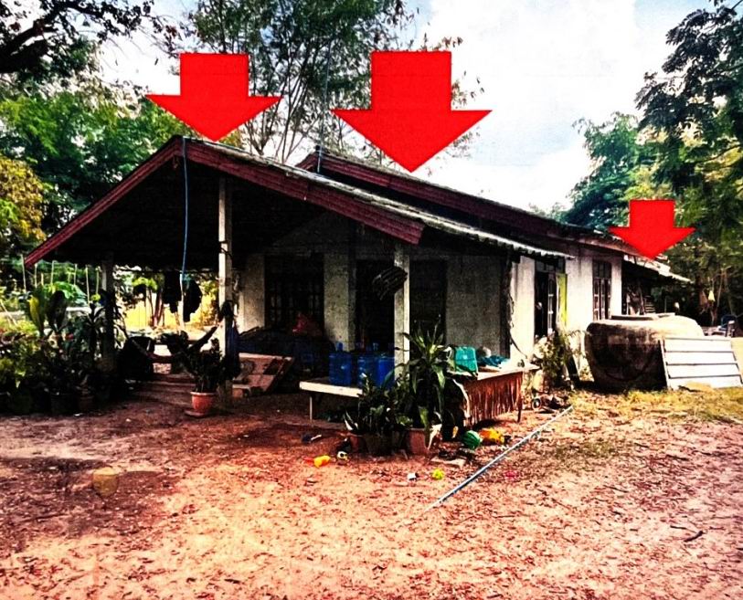 ขายทอดตลาด ที่ดินพร้อมสิ่งปลูกสร้าง ต.เหล่าบก อ.ม่วงสามสิบ จ.อุบลราชธานี