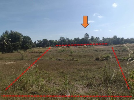 ขายทอดตลาด ที่ดินว่างเปล่า ต.กองโพน อ.นาตาล จ.อุบลราชธานี