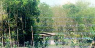 รูปทรัพย์ 2