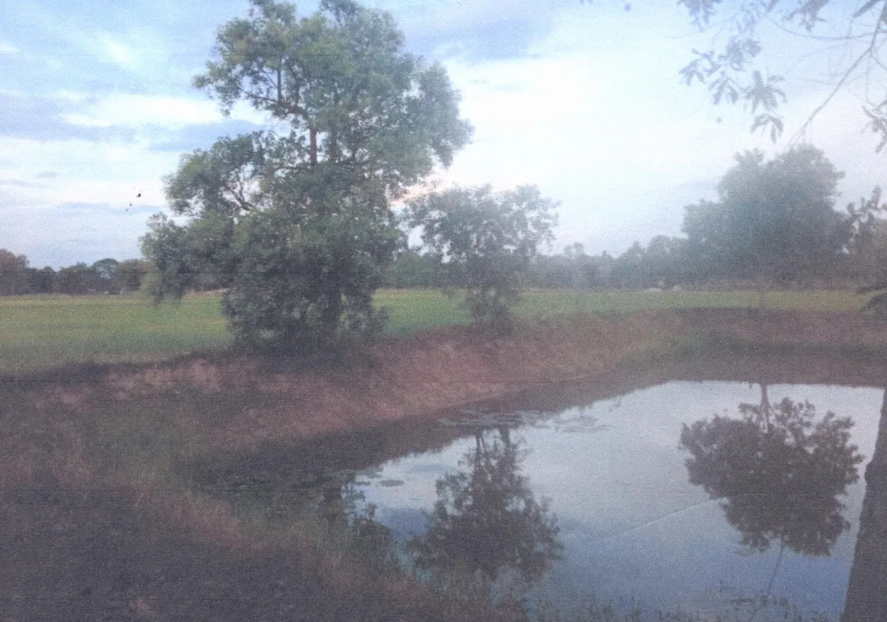 ขายทอดตลาด ที่ดินว่างเปล่า ต.ไร่น้อย อ.เมืองอุบลราชธานี จ.อุบลราชธานี