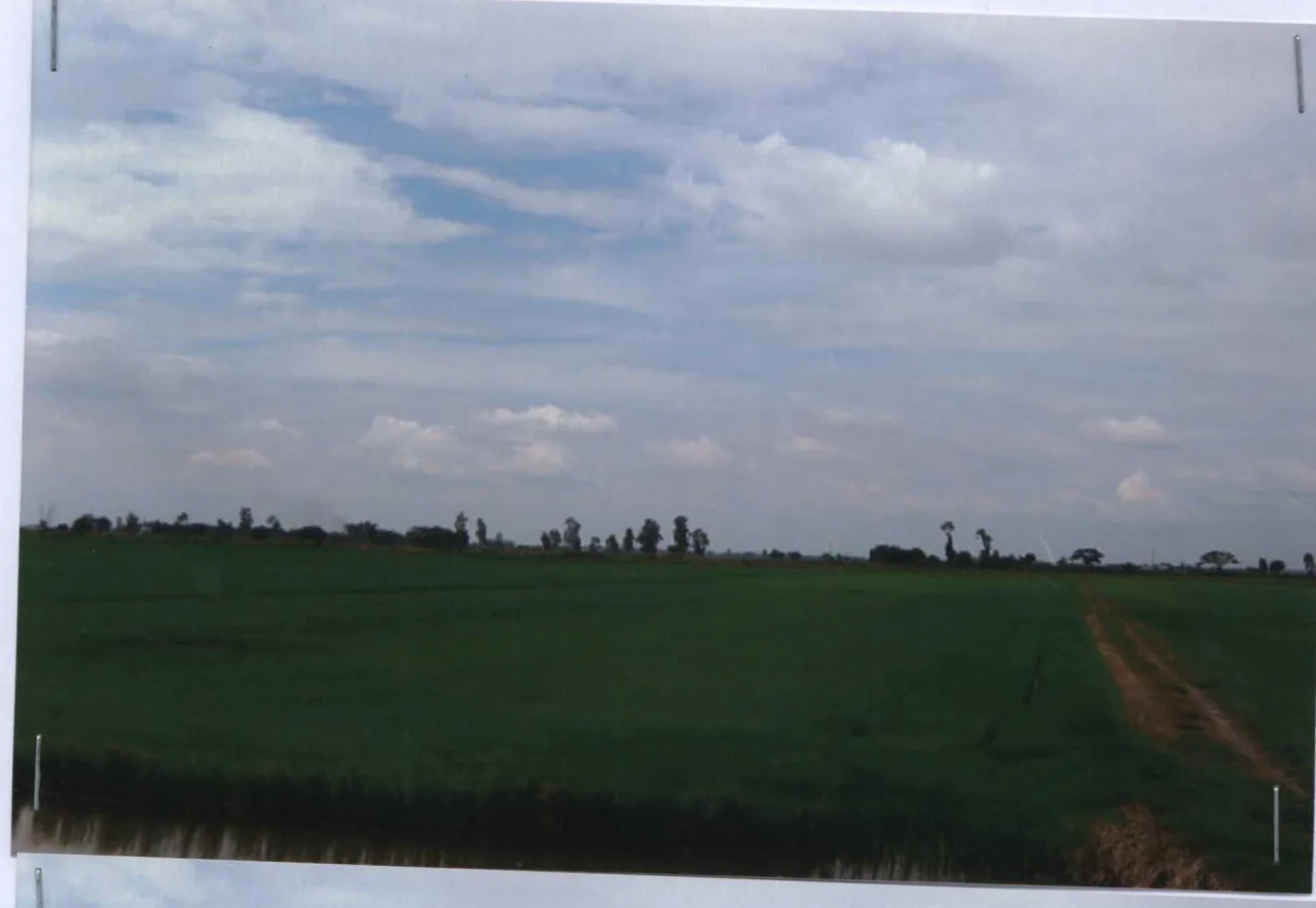 ขายทอดตลาด ที่ดินว่างเปล่า ต.วัดโบสถ์ อ.บางปลาม้า จ.สุพรรณบุรี