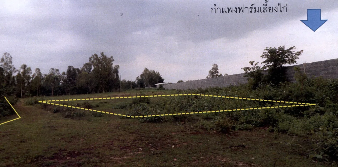 ขายทอดตลาด ที่ดินว่างเปล่า ต.ท่าช้าง อ.สว่างวีระวงศ์ จ.อุบลราชธานี
