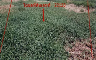 รูปทรัพย์ 1