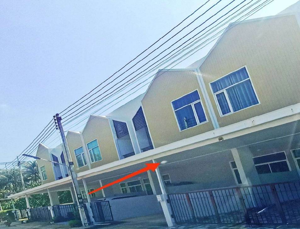 ขายทอดตลาด ที่ดินพร้อมสิ่งปลูกสร้าง ต.วัดประดู่ อ.เมืองสุราษฎร์ธานี จ.สุราษฎร์ธานี
