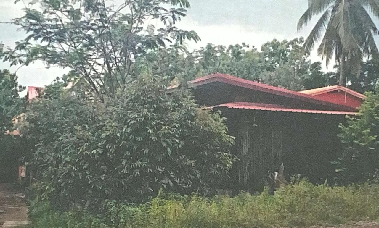 ขายทอดตลาด ที่ดินพร้อมสิ่งปลูกสร้าง ต.หนองจิก อ.คีรีมาศ จ.สุโขทัย