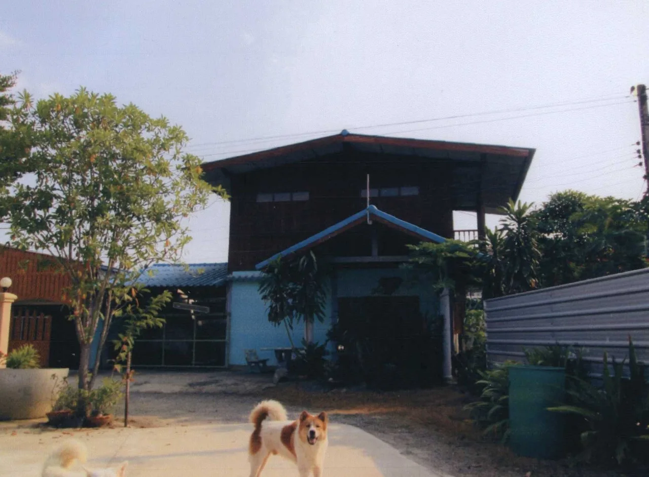 ขายทอดตลาด ที่ดินพร้อมสิ่งปลูกสร้าง ต.วังลึก อ.สามชุก จ.สุพรรณบุรี