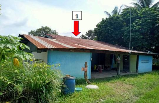 ขายทอดตลาด ที่ดินพร้อมสิ่งปลูกสร้าง ต.ธาตุ อ.วารินชำราบ จ.อุบลราชธานี