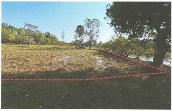 ขายทอดตลาด ที่ดินว่างเปล่า ต.ธาตุ อ.วารินชำราบ จ.อุบลราชธานี