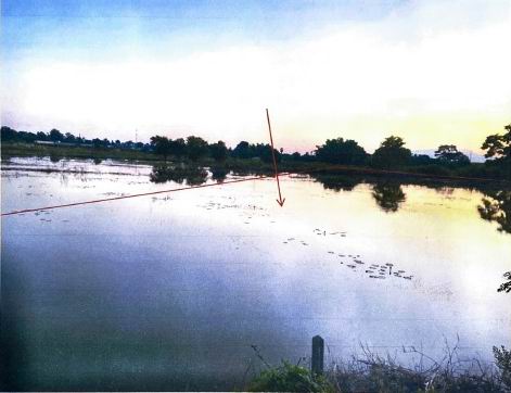 ขายทอดตลาด ที่ดินว่างเปล่า ต.บ้านสวน อ.เมืองสุโขทัยธานี จ.สุโขทัย
