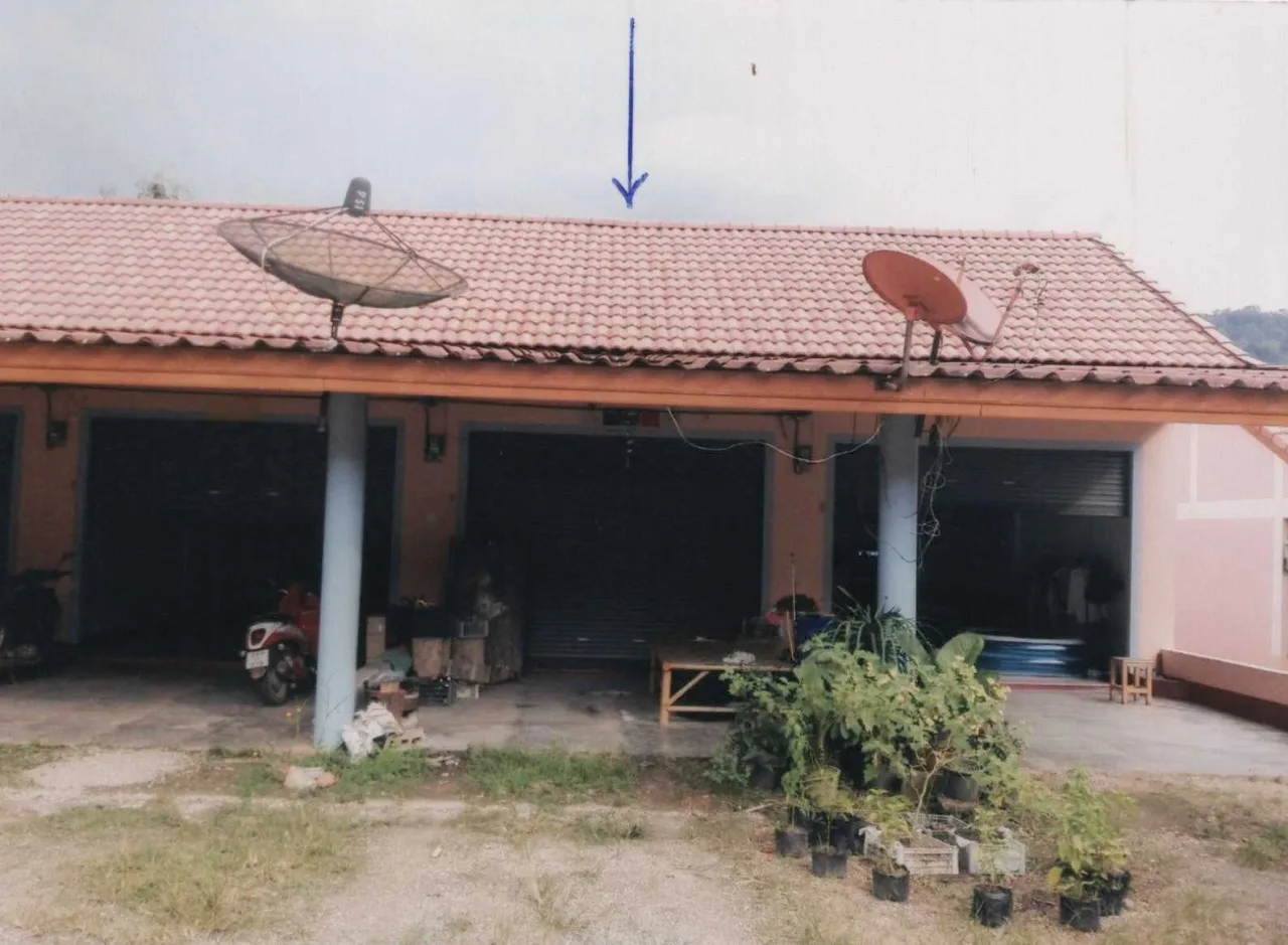ขายทอดตลาด ที่ดินพร้อมสิ่งปลูกสร้าง ต.พนม อ.พนม จ.สุราษฎร์ธานี