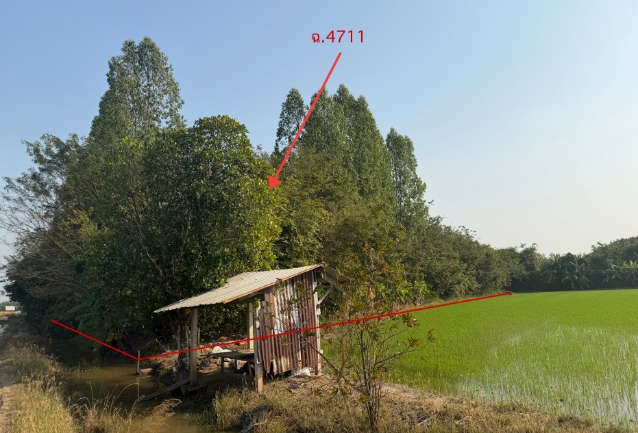 ขายทอดตลาด ที่ดินว่างเปล่า ต.กระเสียว อ.สามชุก จ.สุพรรณบุรี