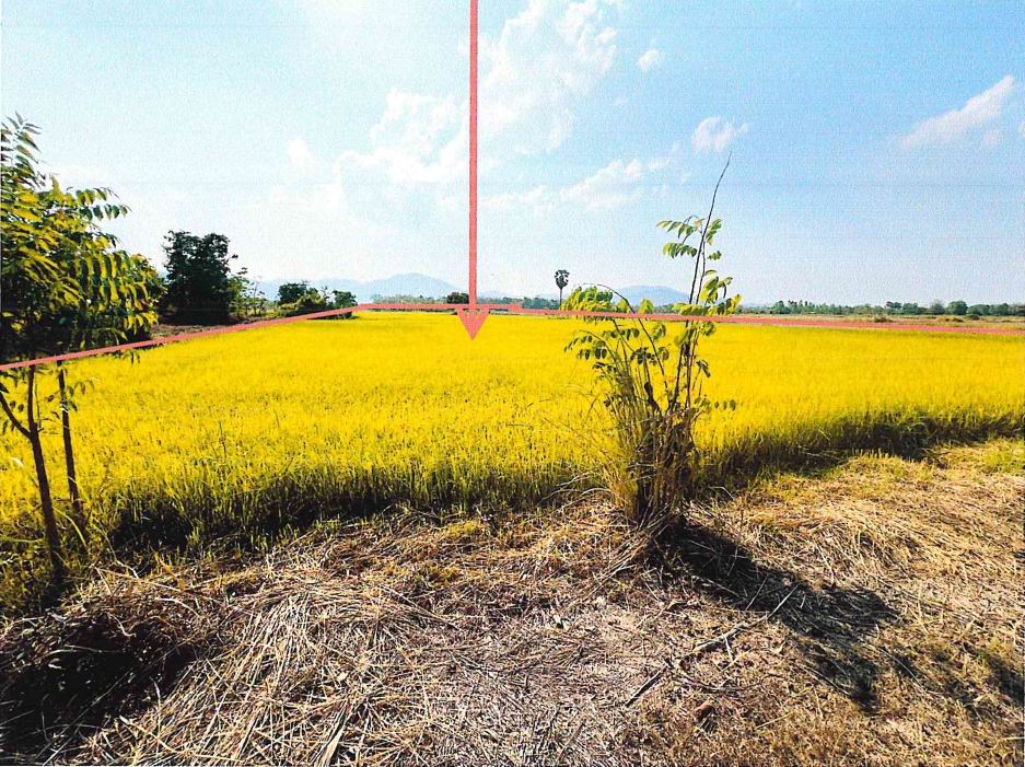 ขายทอดตลาด ที่ดินว่างเปล่า ต.เมืองเก่า อ.เมืองสุโขทัย จ.สุโขทัย