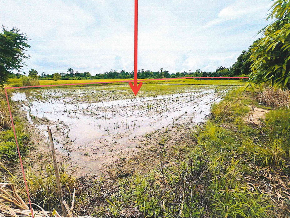 ขายทอดตลาด ที่ดินว่างเปล่า ต.ทับผึ้ง อ.ศรีสำโรง จ.สุโขทัย