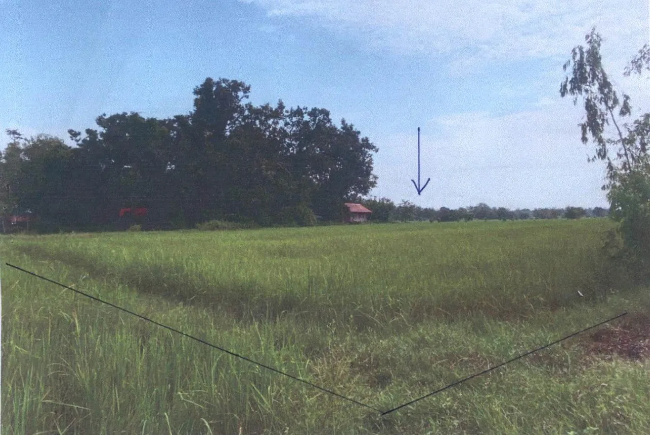 ขายทอดตลาด ที่ดินว่างเปล่า จ.อุบลราชธานี