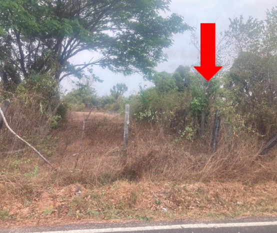 ขายทอดตลาด ที่ดินว่างเปล่า ต.ขามใหญ่ อ.เมืองอุบลราชธานี จ.อุบลราชธานี
