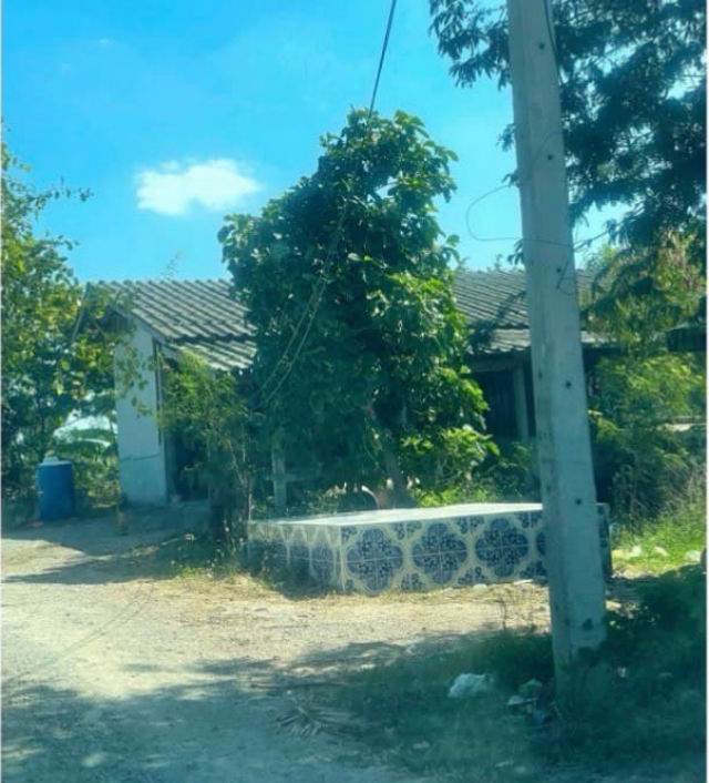 ขายทอดตลาด ที่ดินพร้อมสิ่งปลูกสร้าง ต.ดอนโพธิ์ทอง อ.เมืองสุพรรณบุรี จ.สุพรรณบุรี