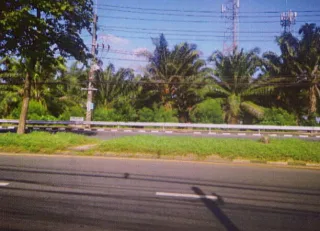 รูปทรัพย์ 1