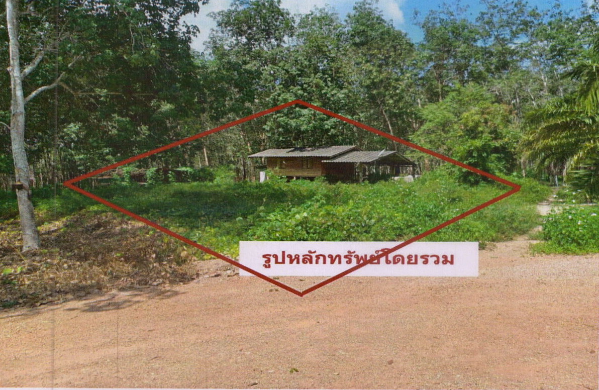 ขายทอดตลาด ที่ดินพร้อมสิ่งปลูกสร้าง ต.บ้านยาง อ.คีรีรัฐนิคม จ.สุราษฎร์ธานี