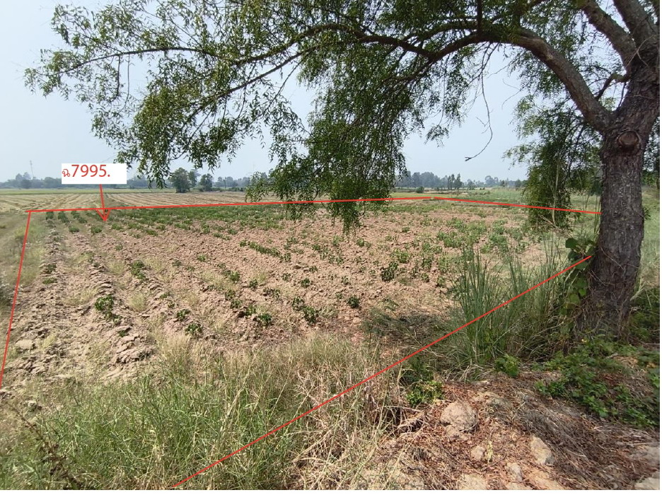 ขายทอดตลาด ที่ดินว่างเปล่า ต.โตนด อ.คีรีมาศ จ.สุโขทัย