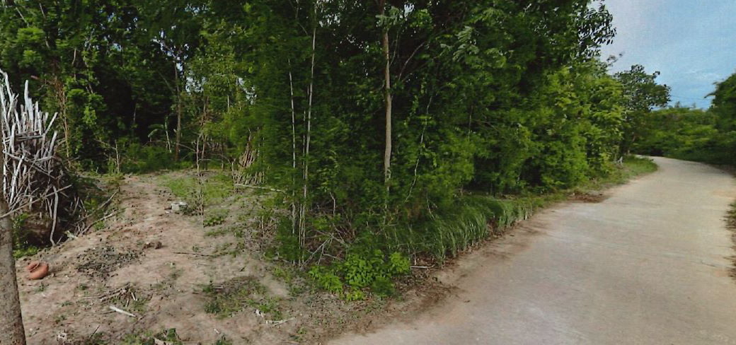 ขายทอดตลาด ที่ดินว่างเปล่า ต.บ้านไร่ อ.ศรีสำโรง จ.สุโขทัย