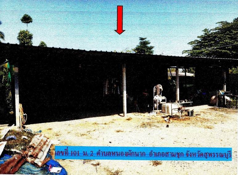 ขายทอดตลาด ที่ดินพร้อมสิ่งปลูกสร้าง ต.หนองผักนาก อ.สามชุก จ.สุพรรณบุรี
