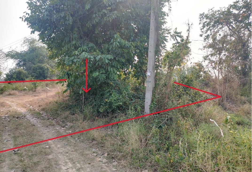 ขายทอดตลาด ที่ดินว่างเปล่า ต.บ้านกล้วย อ.เมืองสุโขทัย จ.สุโขทัย