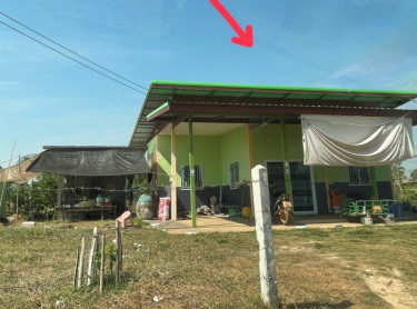 ขายทอดตลาด ที่ดินพร้อมสิ่งปลูกสร้าง ต.หนองบัวฮี อ.พิบูลมังสาหาร จ.อุบลราชธานี