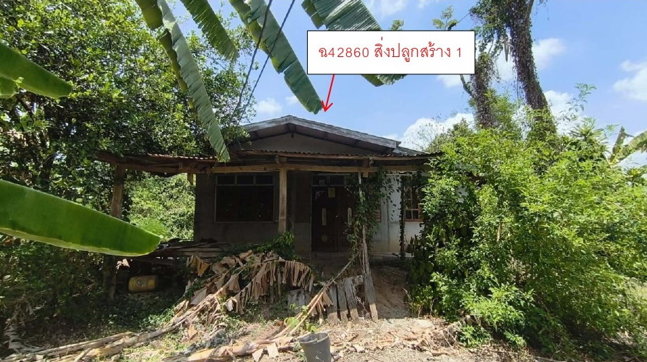 ขายทอดตลาด ที่ดินพร้อมสิ่งปลูกสร้าง ต.เกาะตาเลี้ยง อ.ศรีสำโรง จ.สุโขทัย