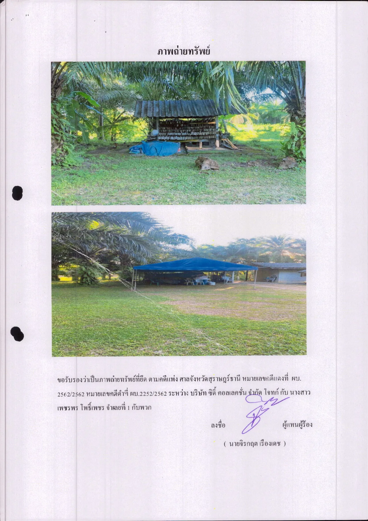 ขายทอดตลาด ที่ดินพร้อมสิ่งปลูกสร้าง ต.หนองไทร อ.พุนพิน จ.สุราษฎร์ธานี