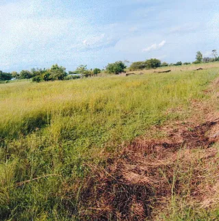 รูปทรัพย์ 2
