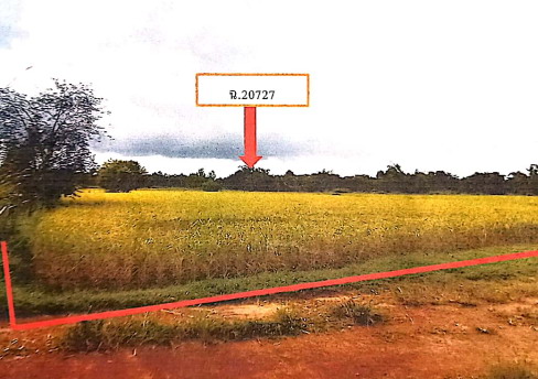ขายทอดตลาด ที่ดินว่างเปล่า จ.กาญจนบุรี