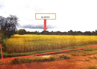 รูปทรัพย์ 1