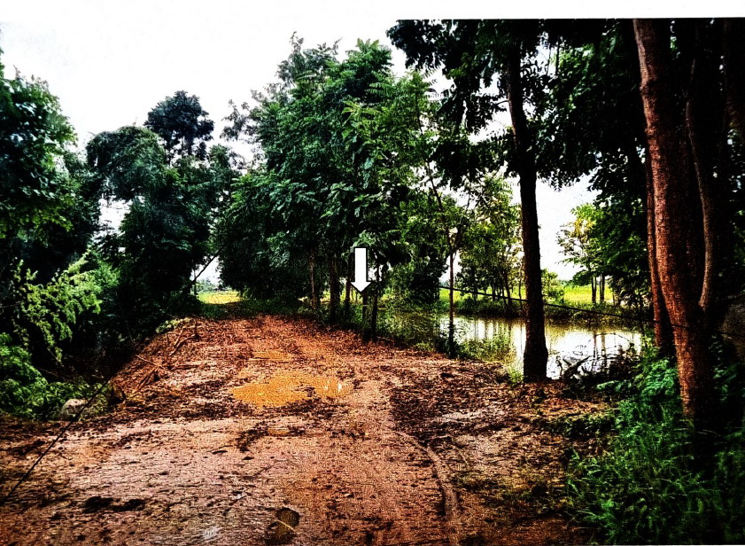 ขายทอดตลาด ที่ดินว่างเปล่า จ.บึงกาฬ